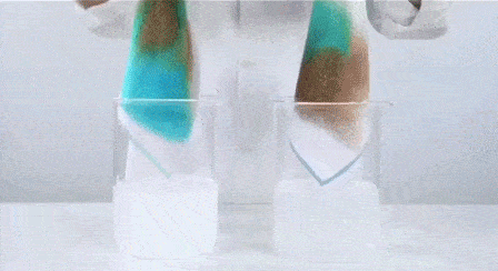 981棋牌appV4.9专业版