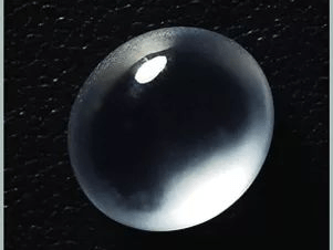 ob体育最新官网入口V2.4专业版