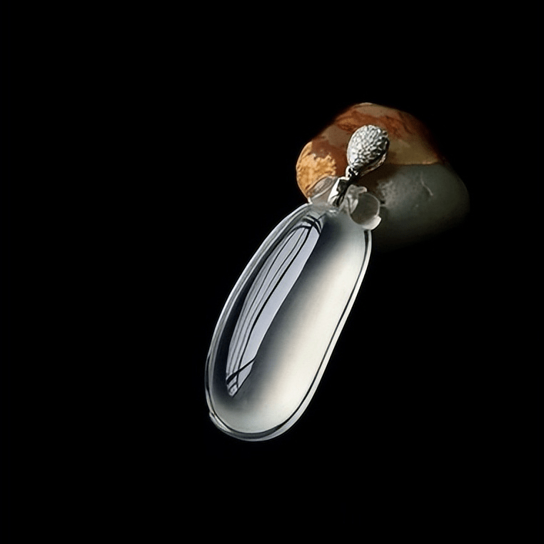 央视体育官网V5.9专业版