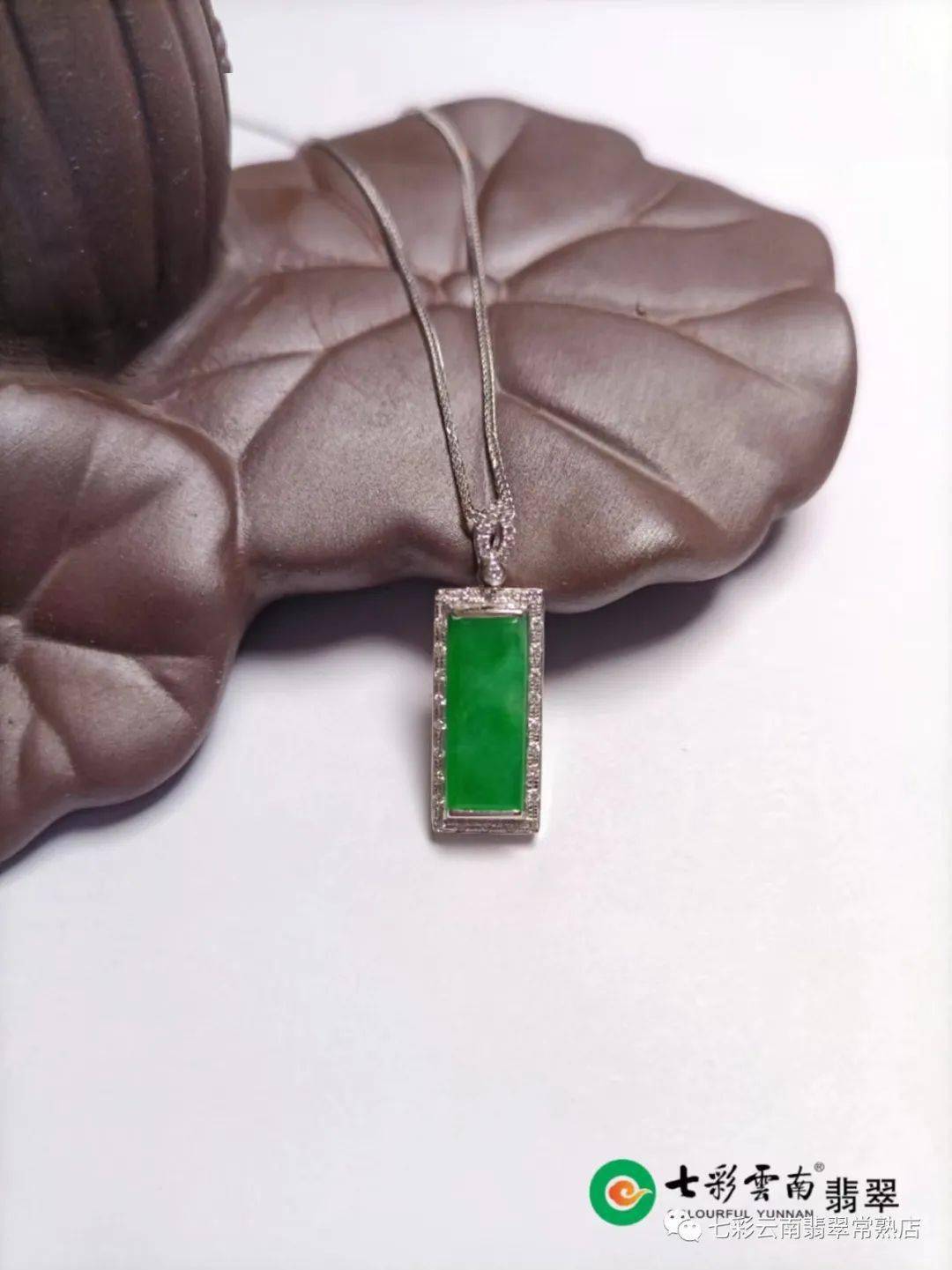 云开体育app网页版V7.3专业版