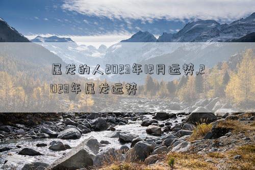 《电玩城app》2025版新战舰模型展示