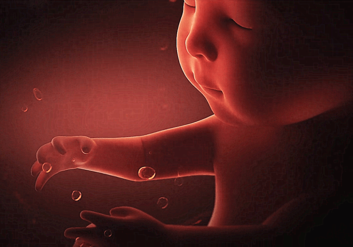 kaiyun体育官方登录地址2025更新新增角色集合