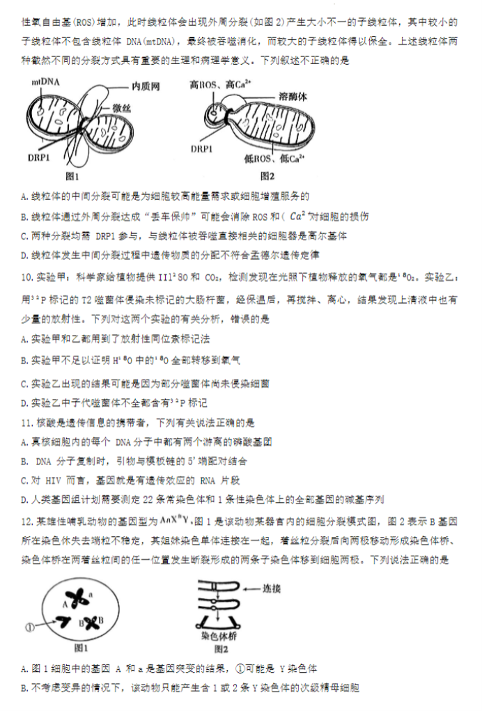 爱博娱乐appV1.9专业版