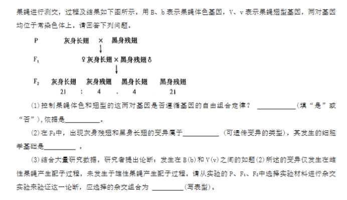 Hidden File Scanner(扫描磁盘隐藏文件)