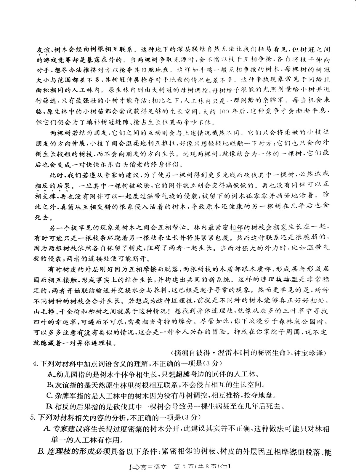 kokappappV9.8专业版