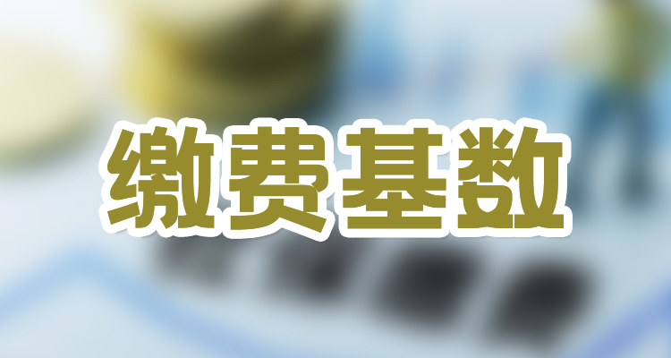 小熊洗车APP