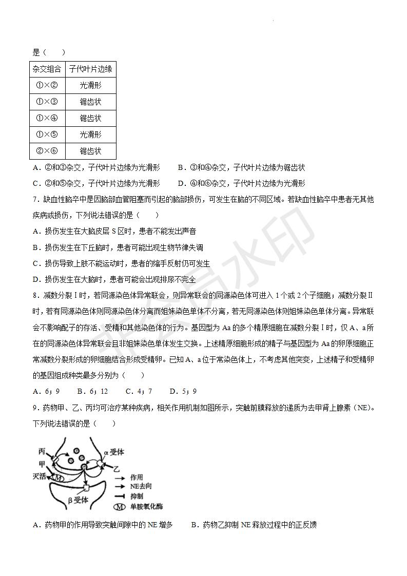 王国保卫战：前线