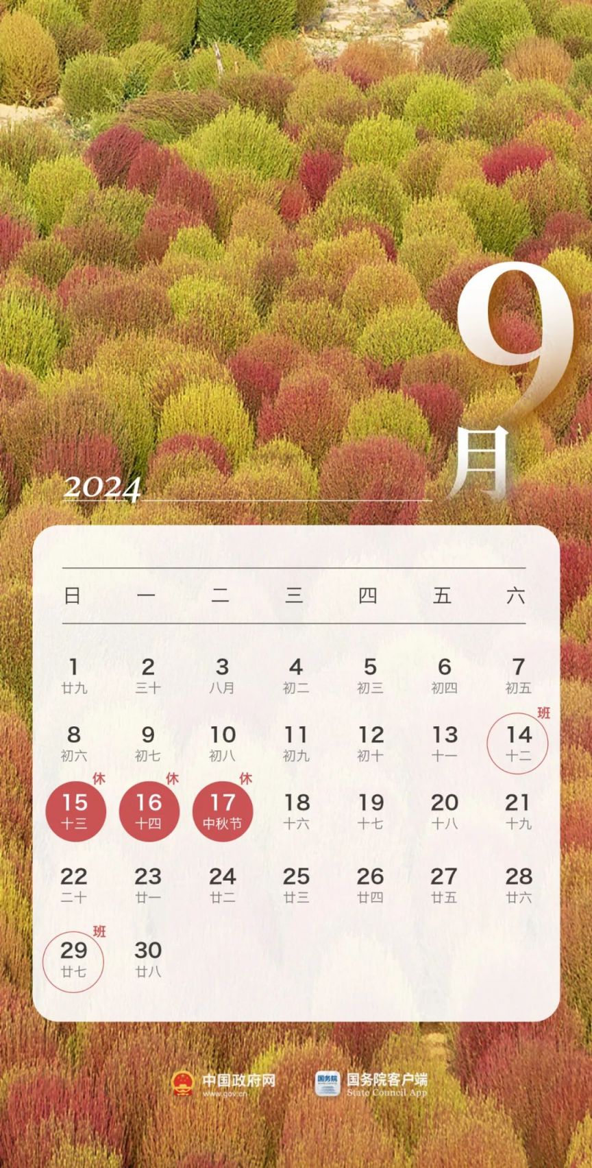 kaiyunapp最新版本下载V8.2专业版