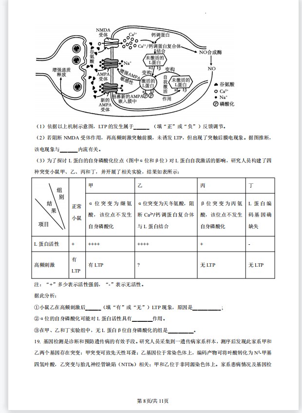 XWriter