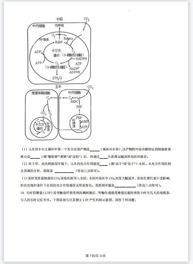 sbbapp 2025最新版 美第奇共和国开放世界场景