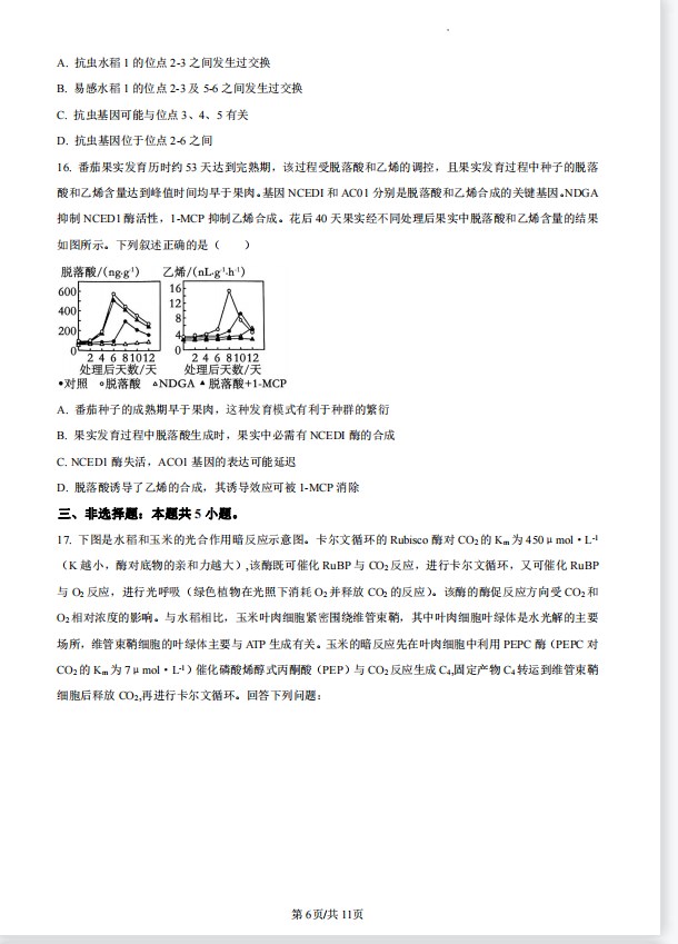 绝版3c转职版5.2_魔兽对抗地图
