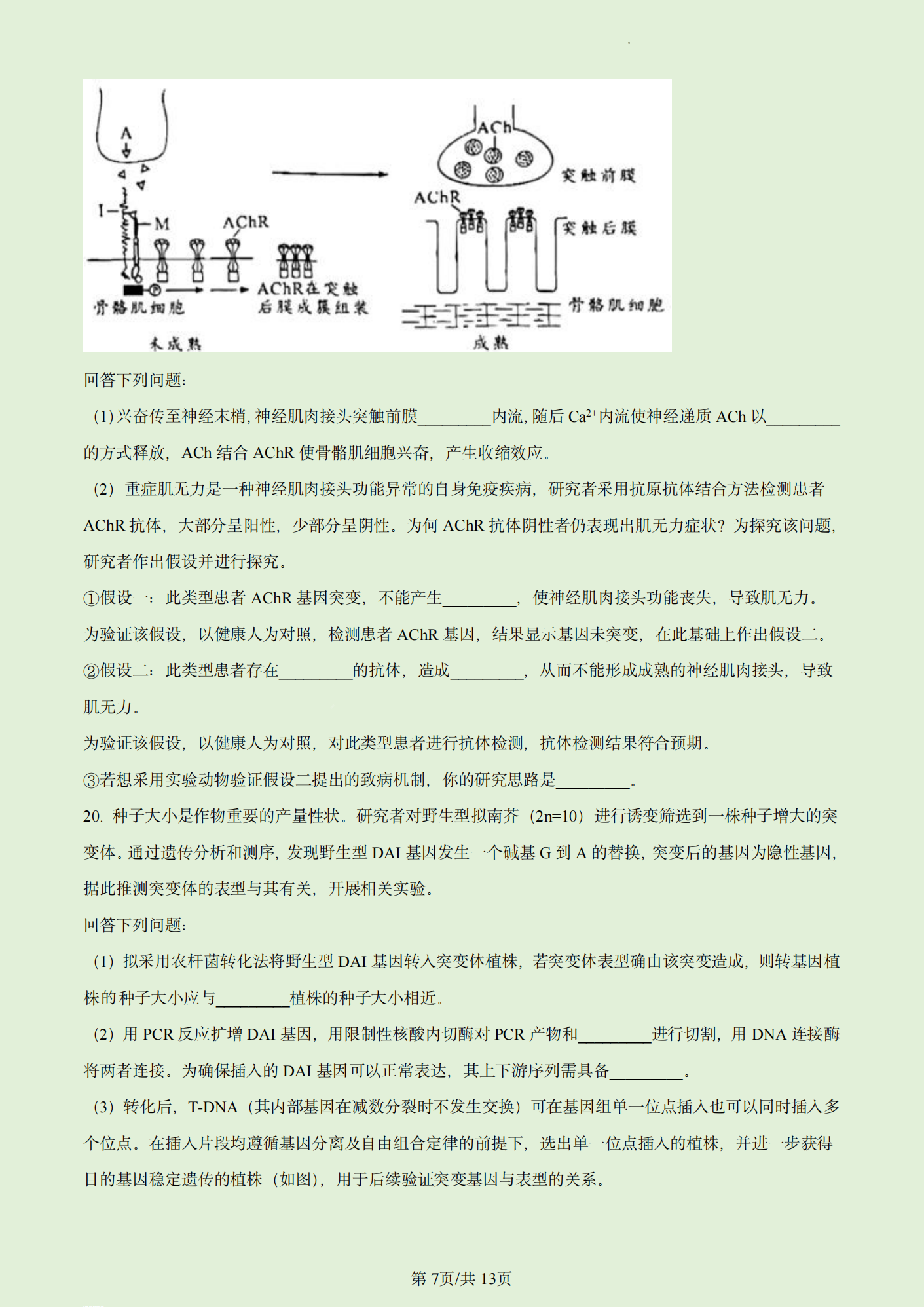 博胜集团app动漫风格角色与场景
