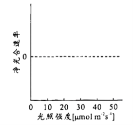 河南汽车维修平台APP