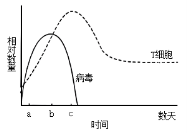 贵州药材APP