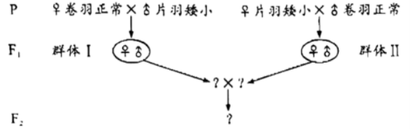 贵州药材APP