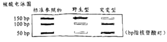 云顶放映厅app2025版本更新内容界面