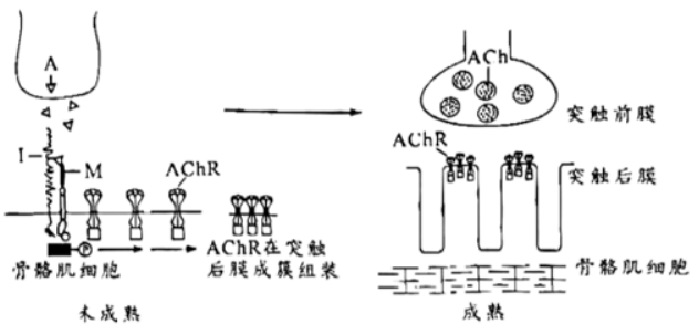 失落之城