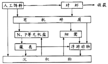 开云kaiyun在线