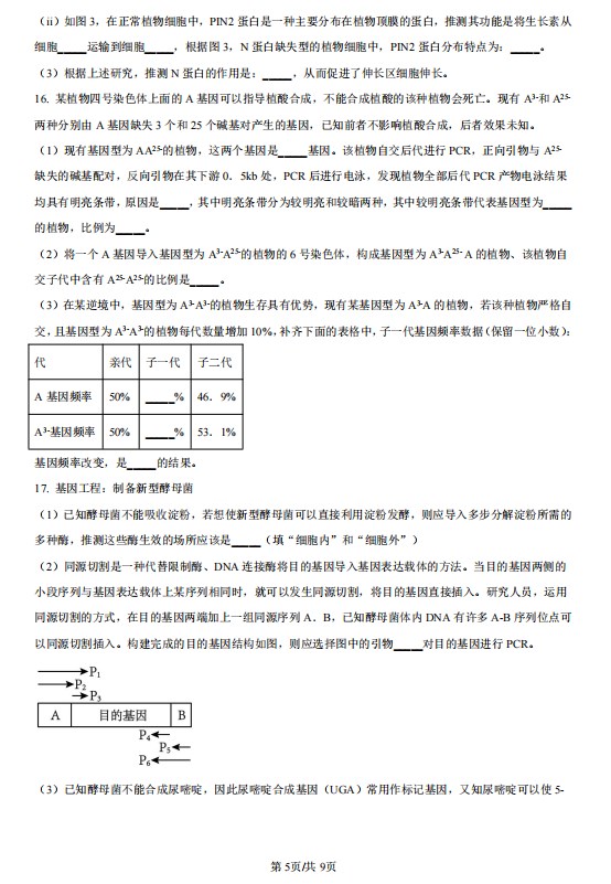 云开官网2025版新增陷阱与敌人展示