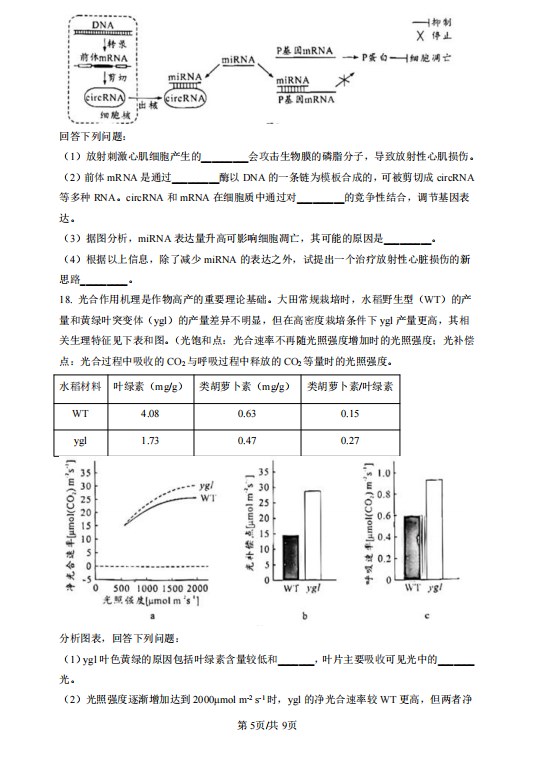 人人看球app官方版