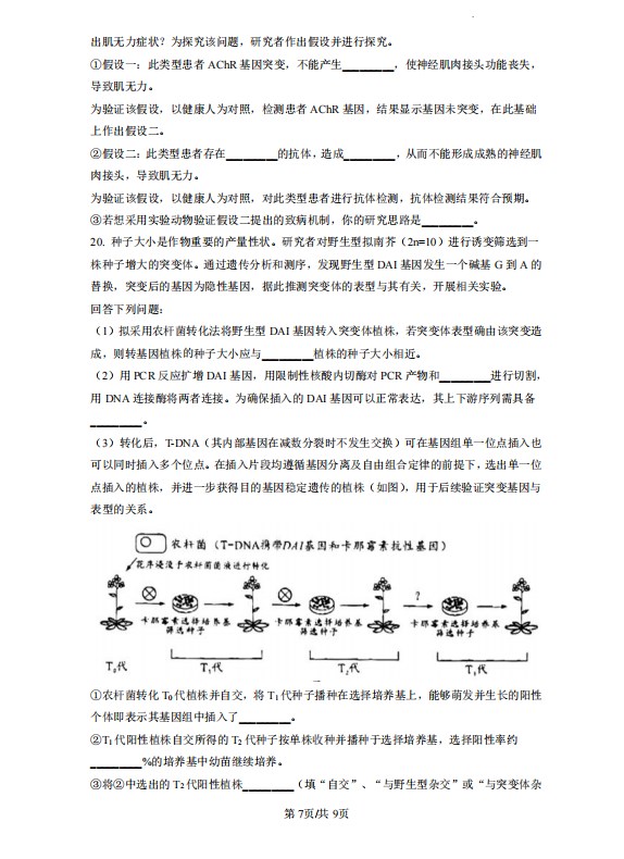 九鼎国际购彩大厅
