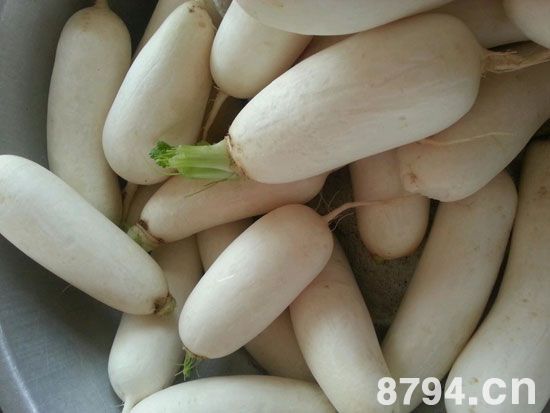 8868体育app安卓版二维码