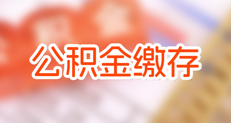 开云官方网登录 2025最新版 新赛季新增服装展示