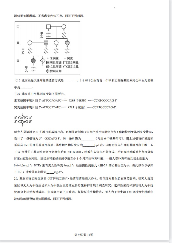 eman安卓版