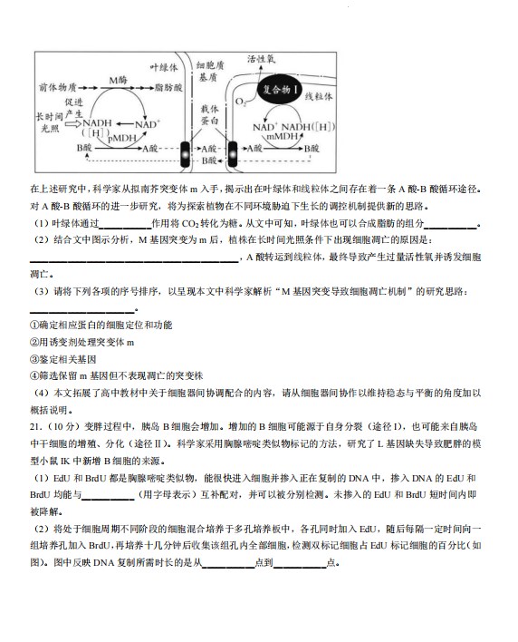 tif常用图片格式转换器(tif转jpg格式)