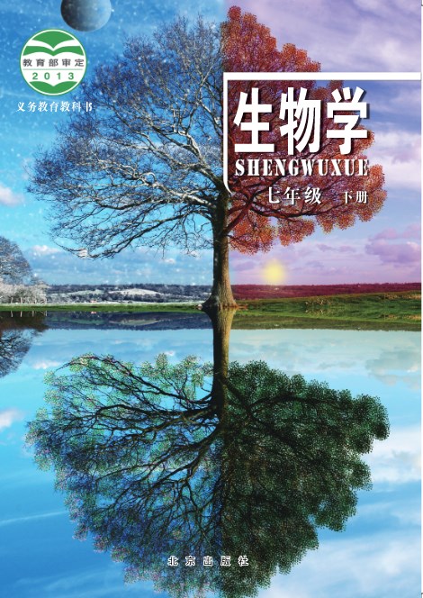 暴力摩托2