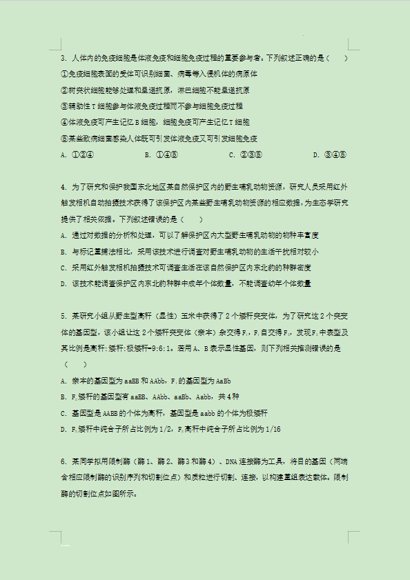 yaboapp2025最新版多人对战场景