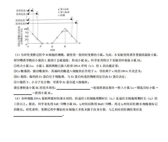老爸的神偷岁月