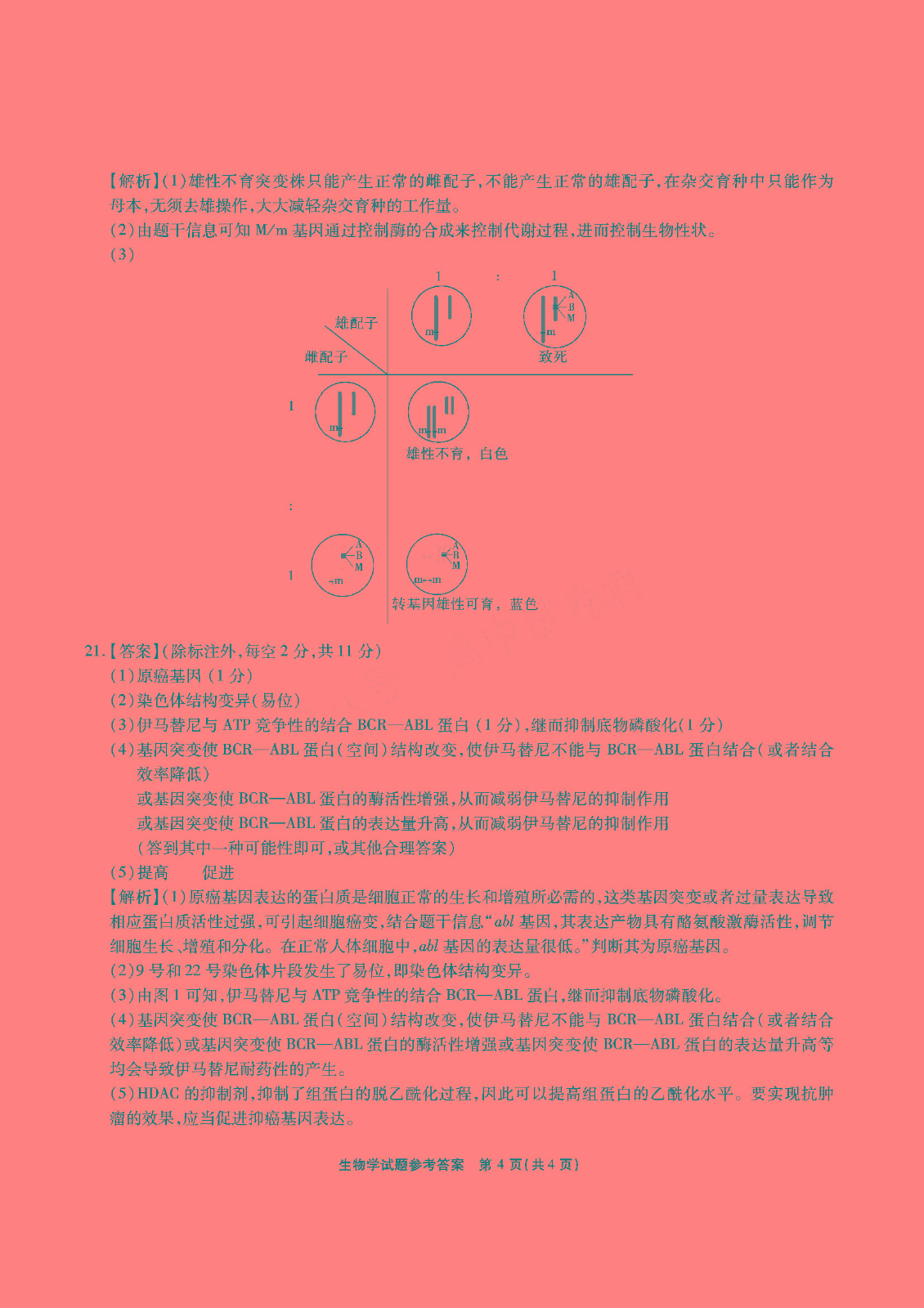 kaiyun中国官方网站 2025最新版 球队阵容管理界面