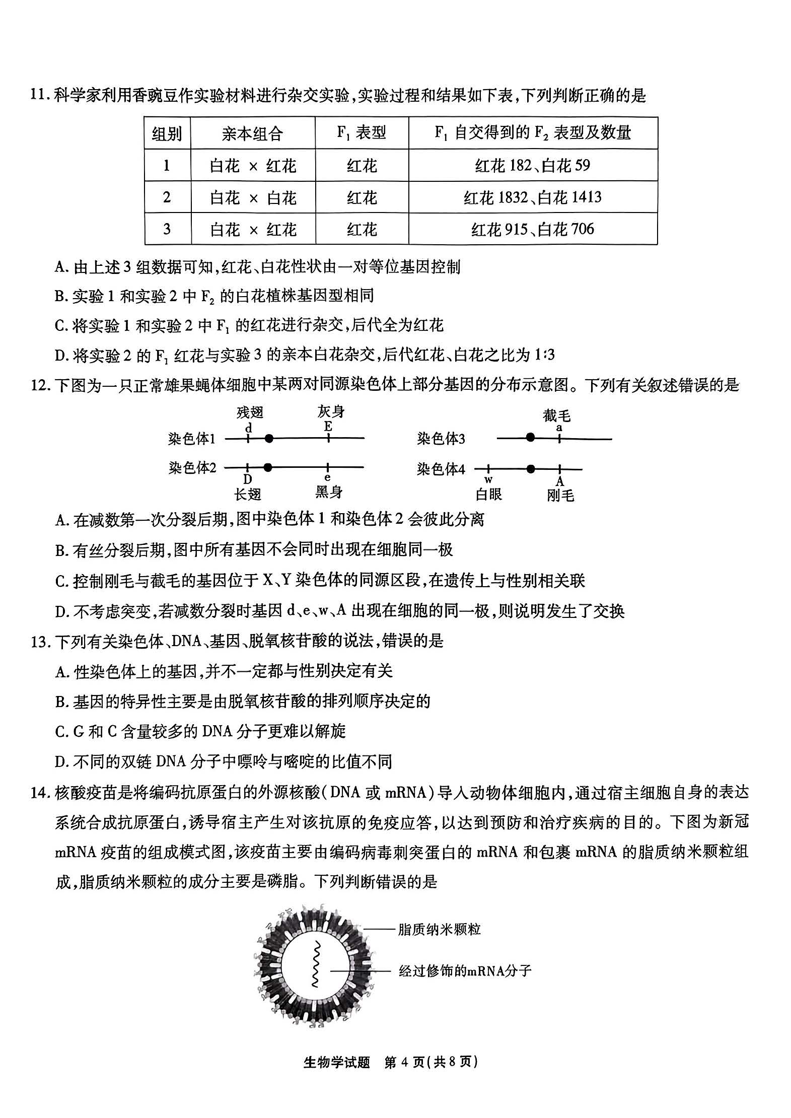 太阳国际城appV2.5专业版