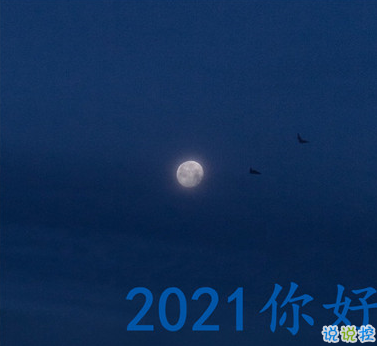 威客电竞app