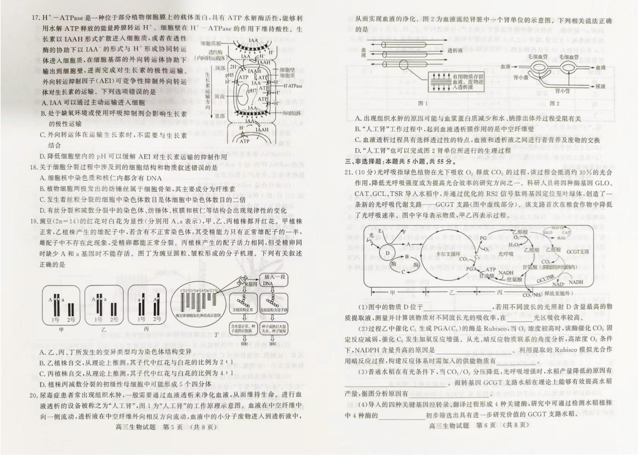 766全讯白菜网appV4.3专业版