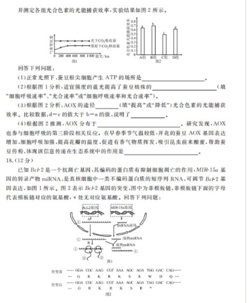 终极宽带连接快速生成器
