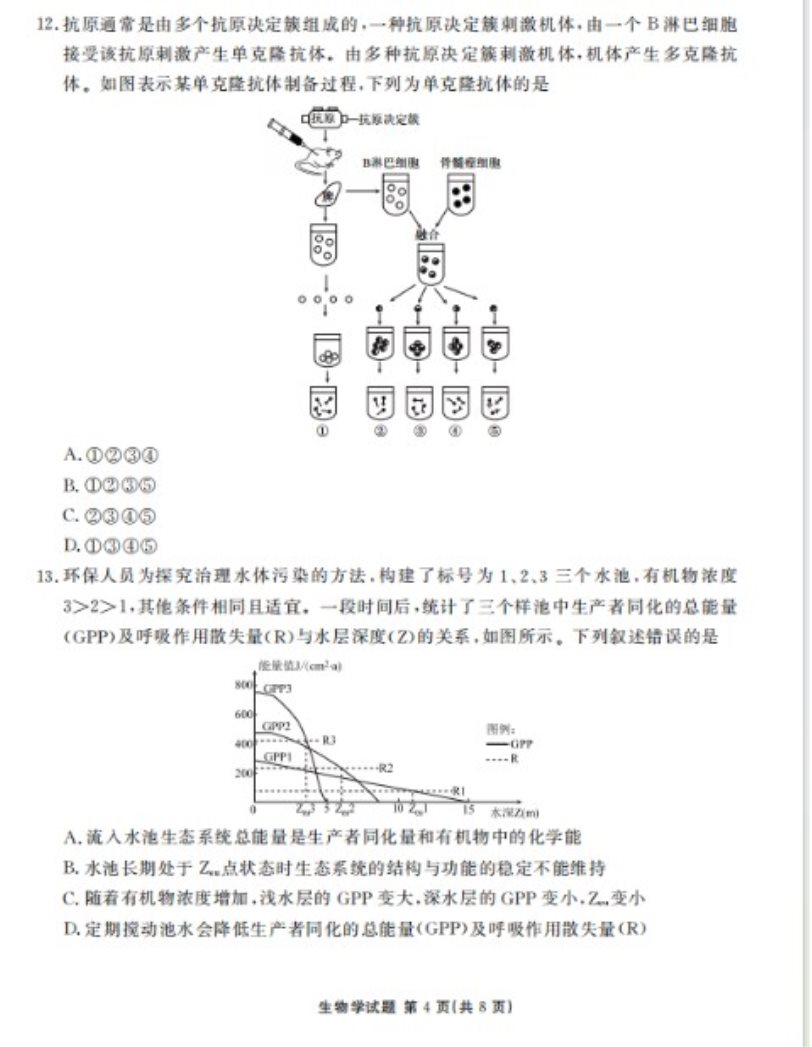 口袋铁拳锦标赛DX 2025最新版 标题与主界面