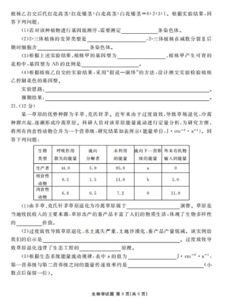 Ag贵宾会登录2025最新版新增英雄与羁绊界面