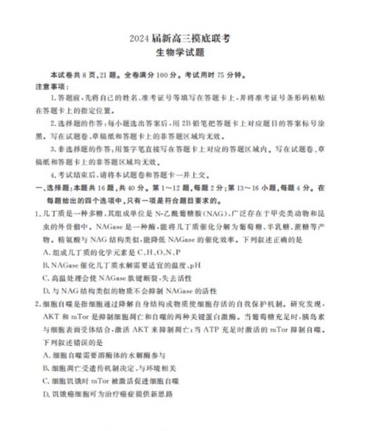 杀出重围：堕落