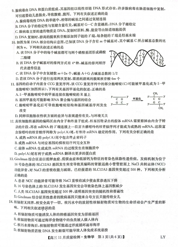 小熊洗车APP