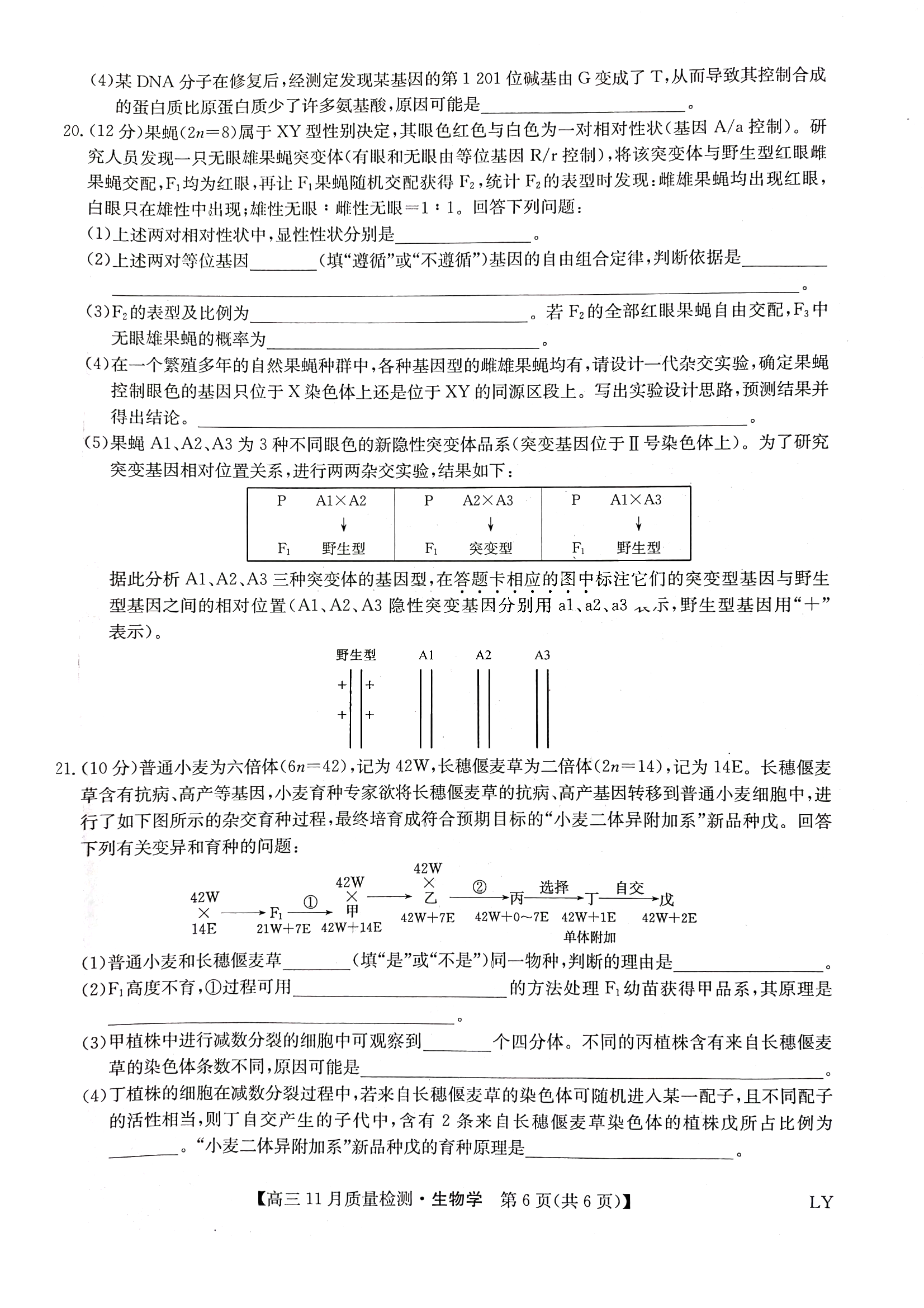 Ghostexp (Ghost备份浏览器)
