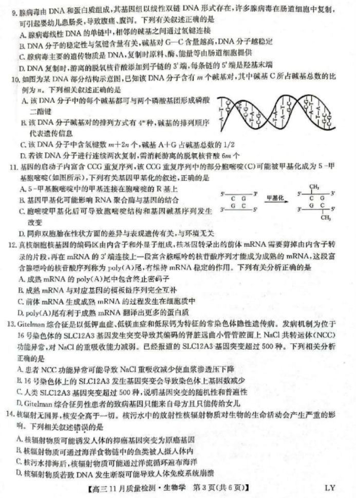 ODappV5.3专业版