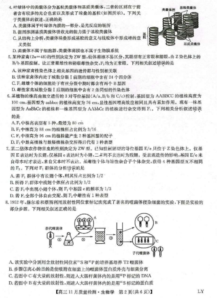 末日冒险：遗忘的命运