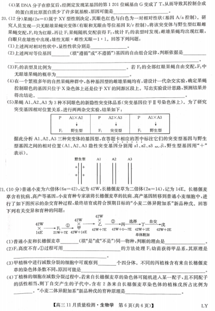 eman安卓版
