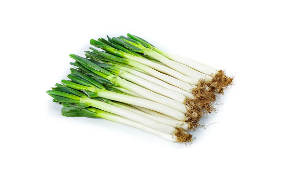 亚投网登录安卓版二维码