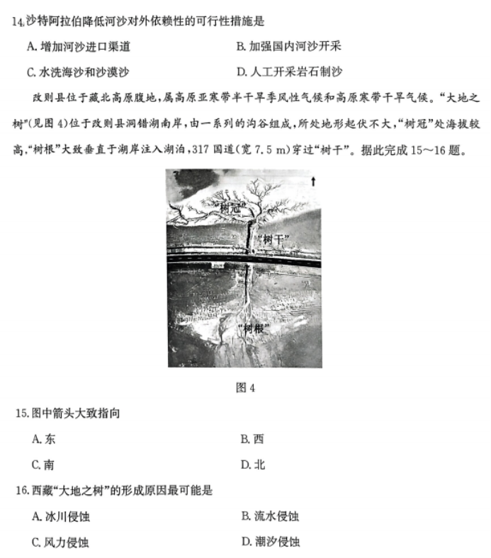 eman安卓版
