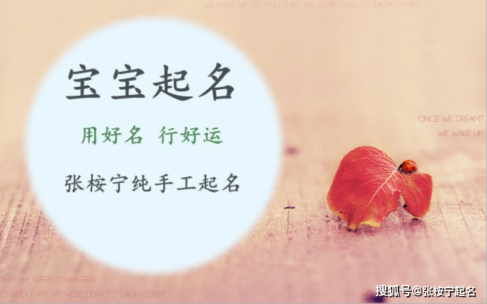 多米娱乐app安卓版二维码