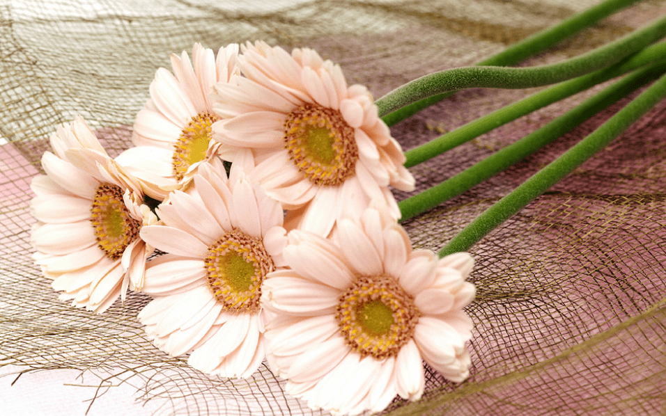 灵魂筹码2025版与同类游戏场景对比