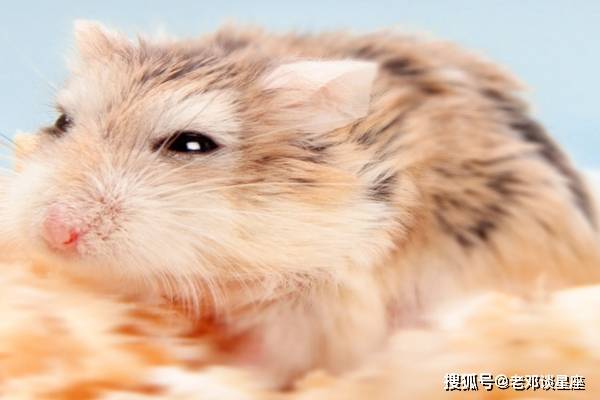 kaiyun体育官方登录地址V2.7专业版